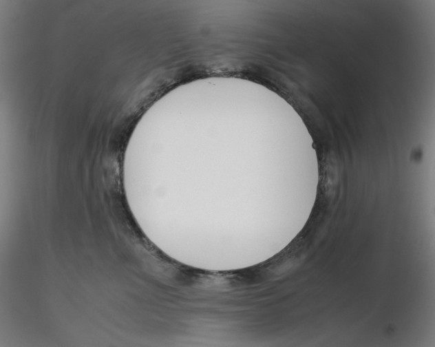 X0000116260523200912291459