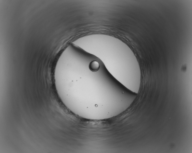 X0000116260524200912291459