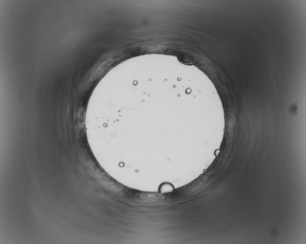 X0000116260525200912291459