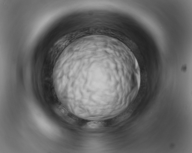 X0000116260526200912291459
