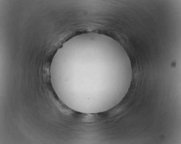 X0000116260527200912291459