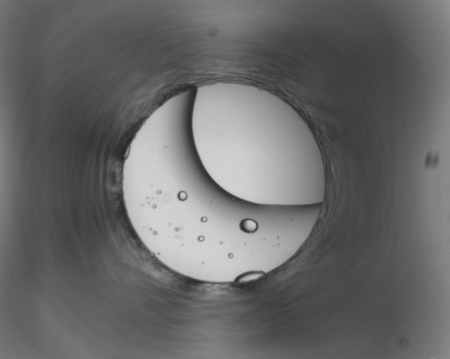 X0000116260528200912291459