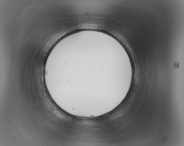 X0000116260529200912291458