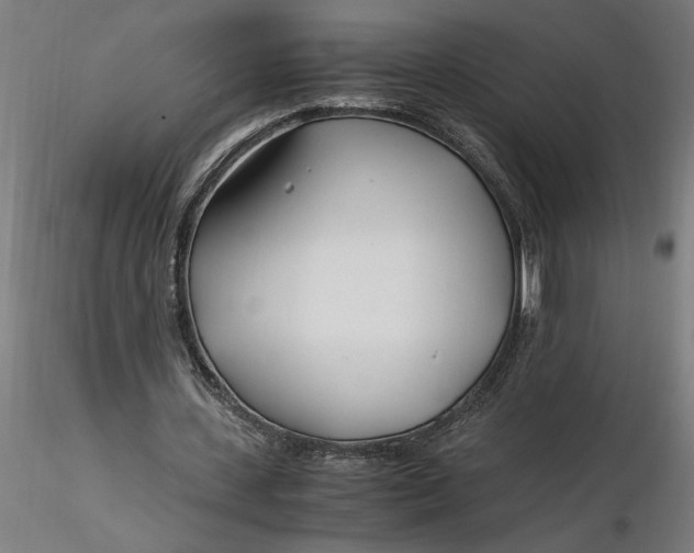 X0000116260531200912291458