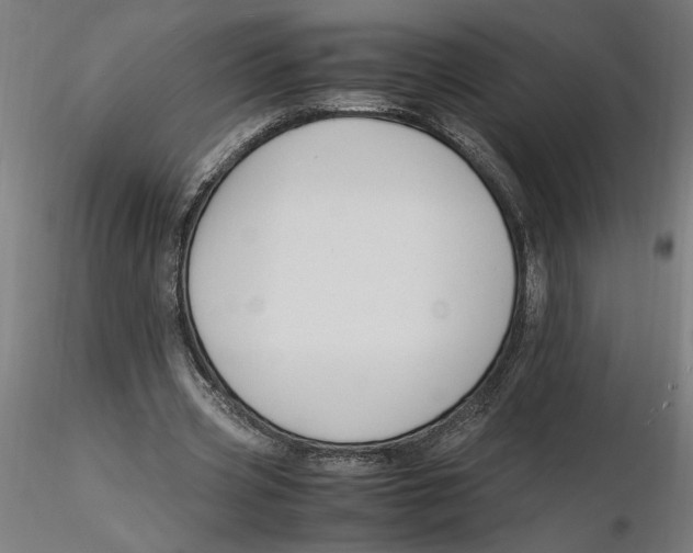 X0000116260533200912291458