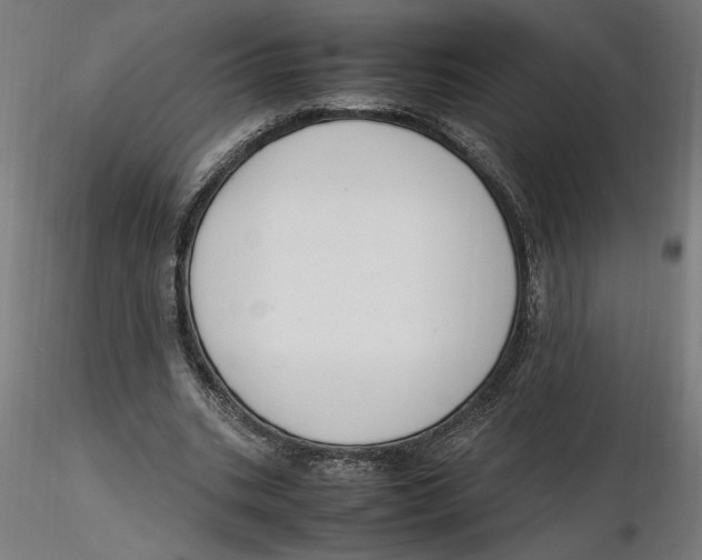 X0000116260535200912291458