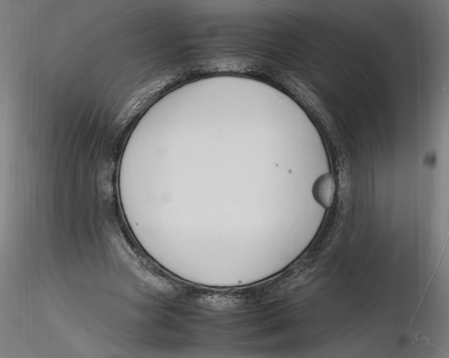 X0000116260537200912291458