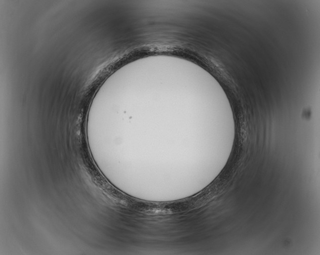 X0000116260543200912291458