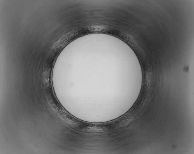 X0000116260545200912291458