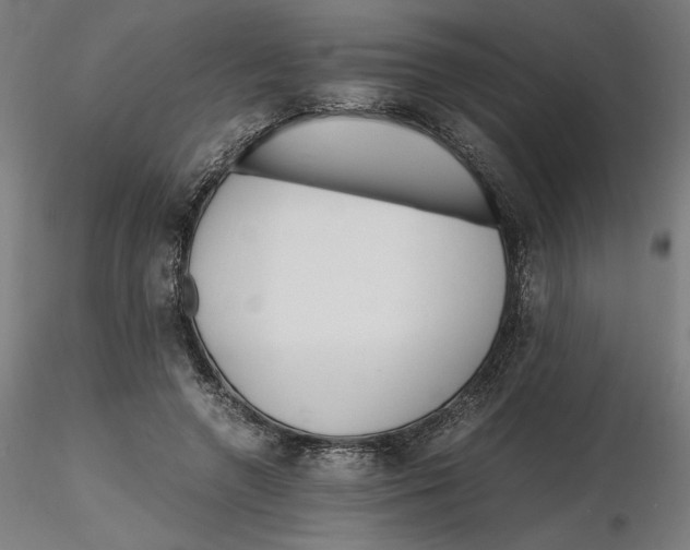 X0000116260546200912291458