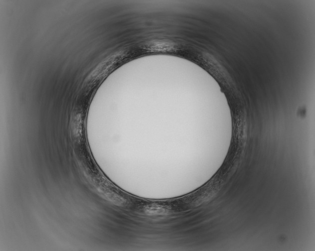 X0000116260549200912291459