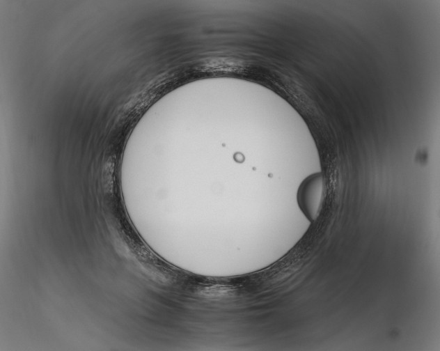 X0000116260551200912291459