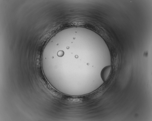 X0000116260553200912291459
