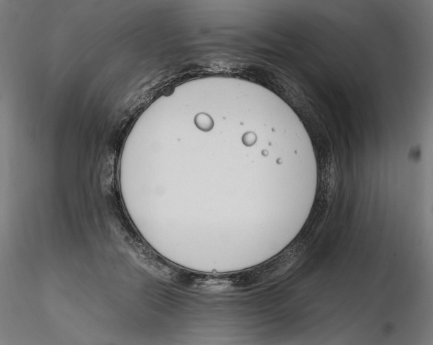 X0000116260554200912291459