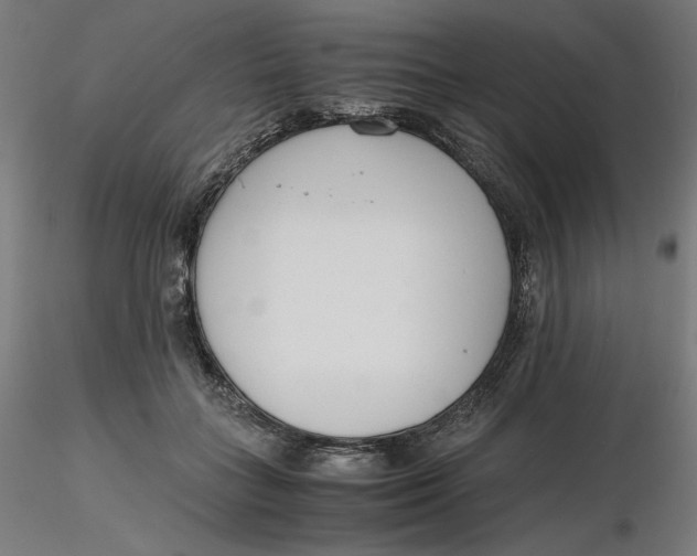 X0000116260555200912291459