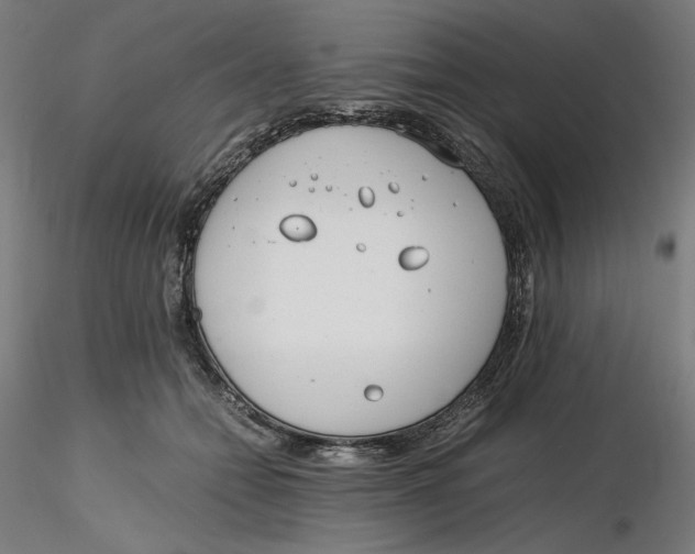 X0000116260558200912291459