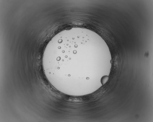 X0000116260559200912291459
