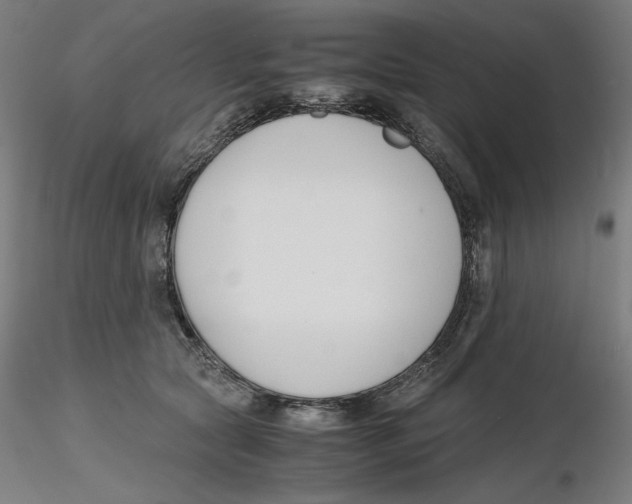 X0000116260561200912291459
