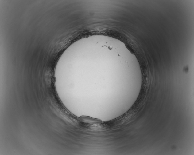 X0000116260562200912291459