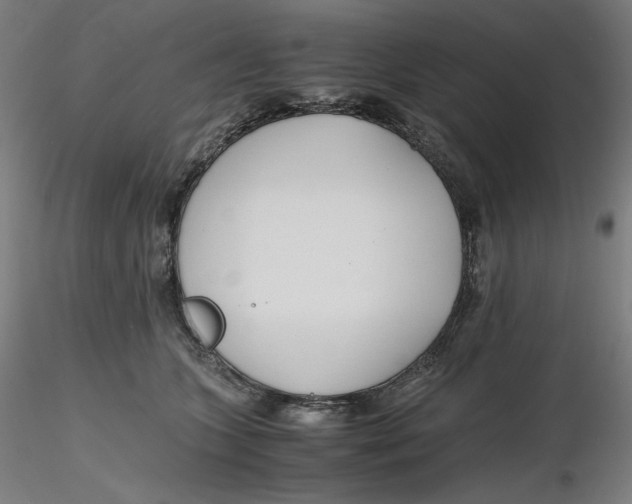 X0000116260563200912291459