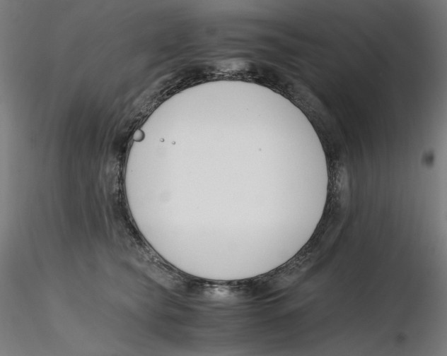 X0000116260565200912291459