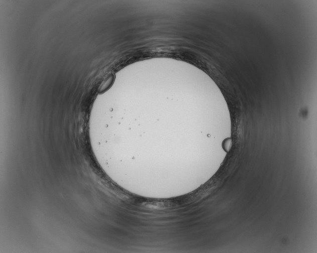 X0000116260567200912291459