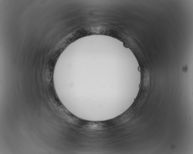 X0000116260569200912291459