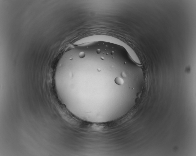 X0000116260570200912291459