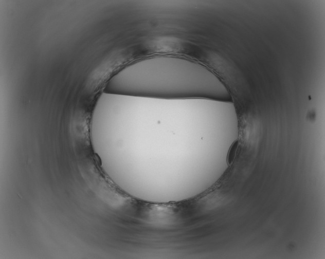 X0000116260573200912291459