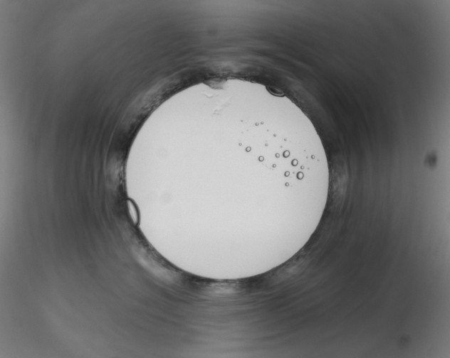 X0000116260574200912291459