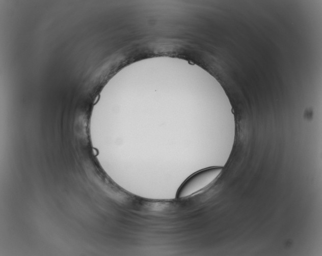 X0000116260575200912291459