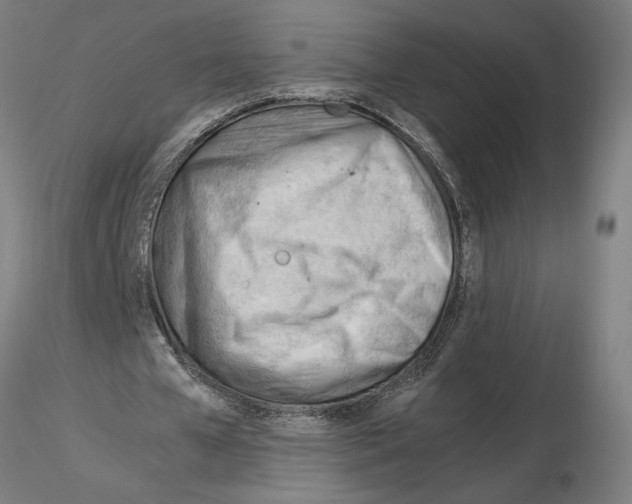 X0000116260577200912291458