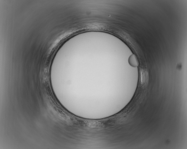 X0000116260579200912291458