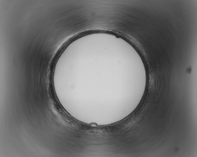X0000116260580200912291458