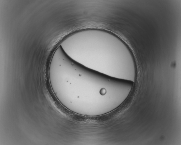 X0000116260581200912291458
