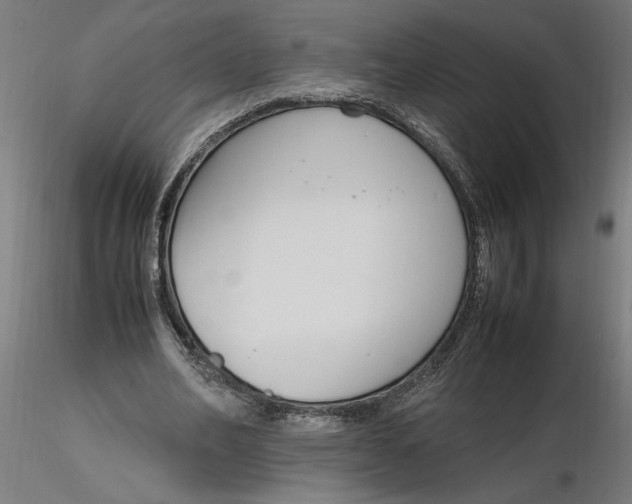 X0000116260582200912291458