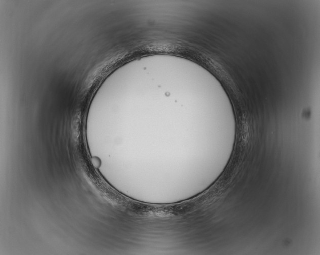 X0000116260586200912291458
