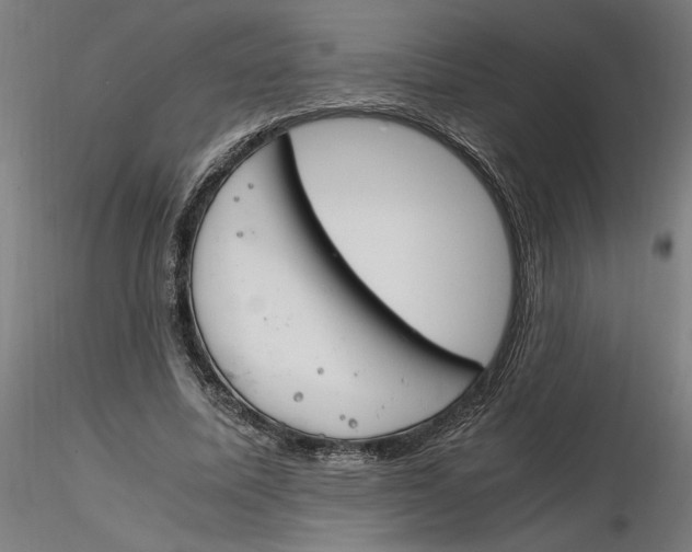 X0000116260587200912291458