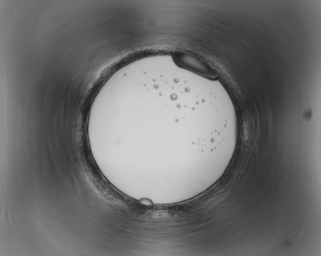 X0000116260588200912291458