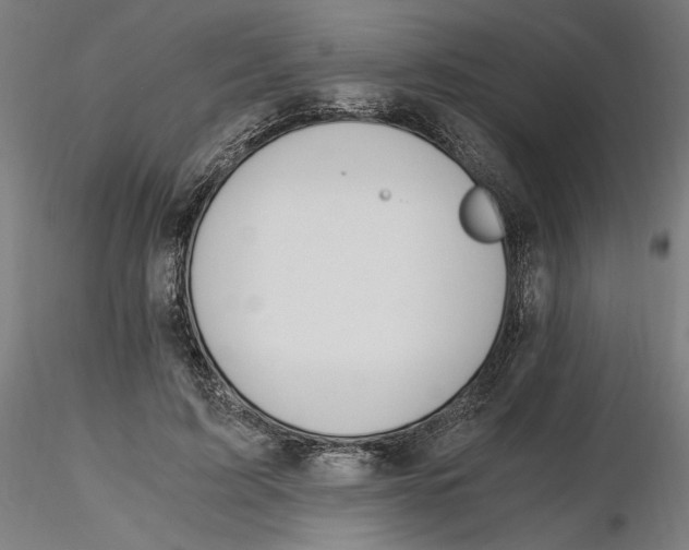 X0000116260595200912291458