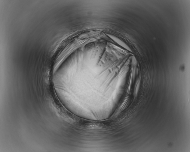 X0000116260596200912291458