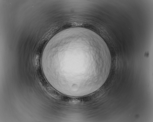 X0000116260598200912291458