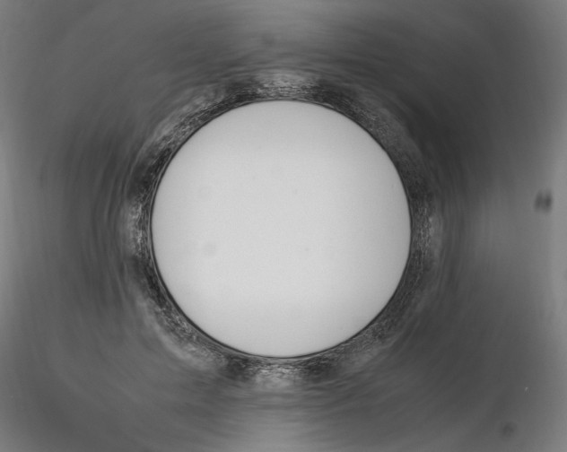 X0000116260599200912291458
