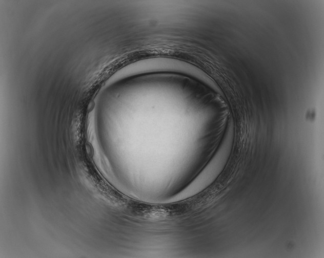 X0000116260600200912291458