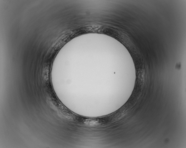 X0000116260602200912291458