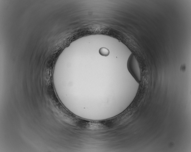 X0000116260605200912291458