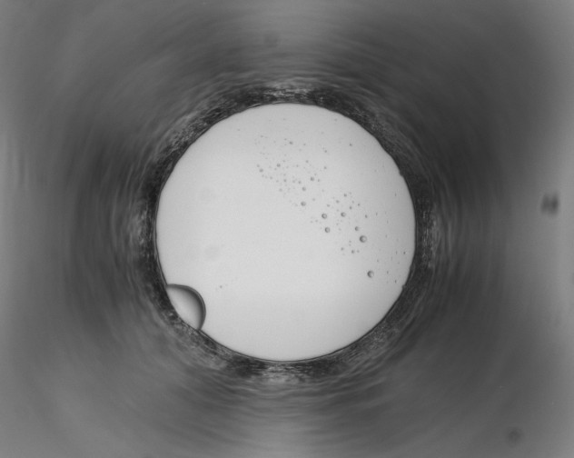 X0000116260608200912291458