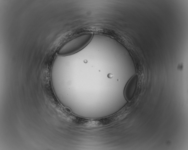 X0000116260609200912291458