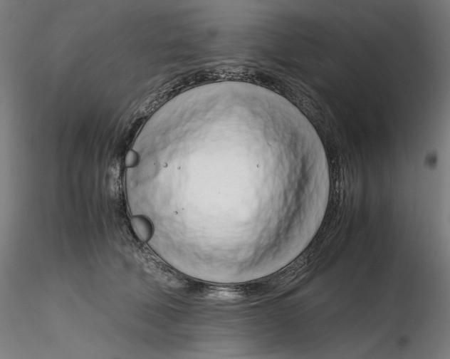 X0000116260610200912291458