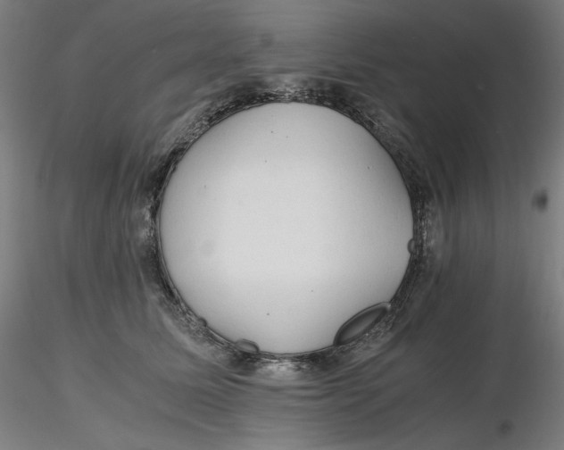 X0000116260611200912291458